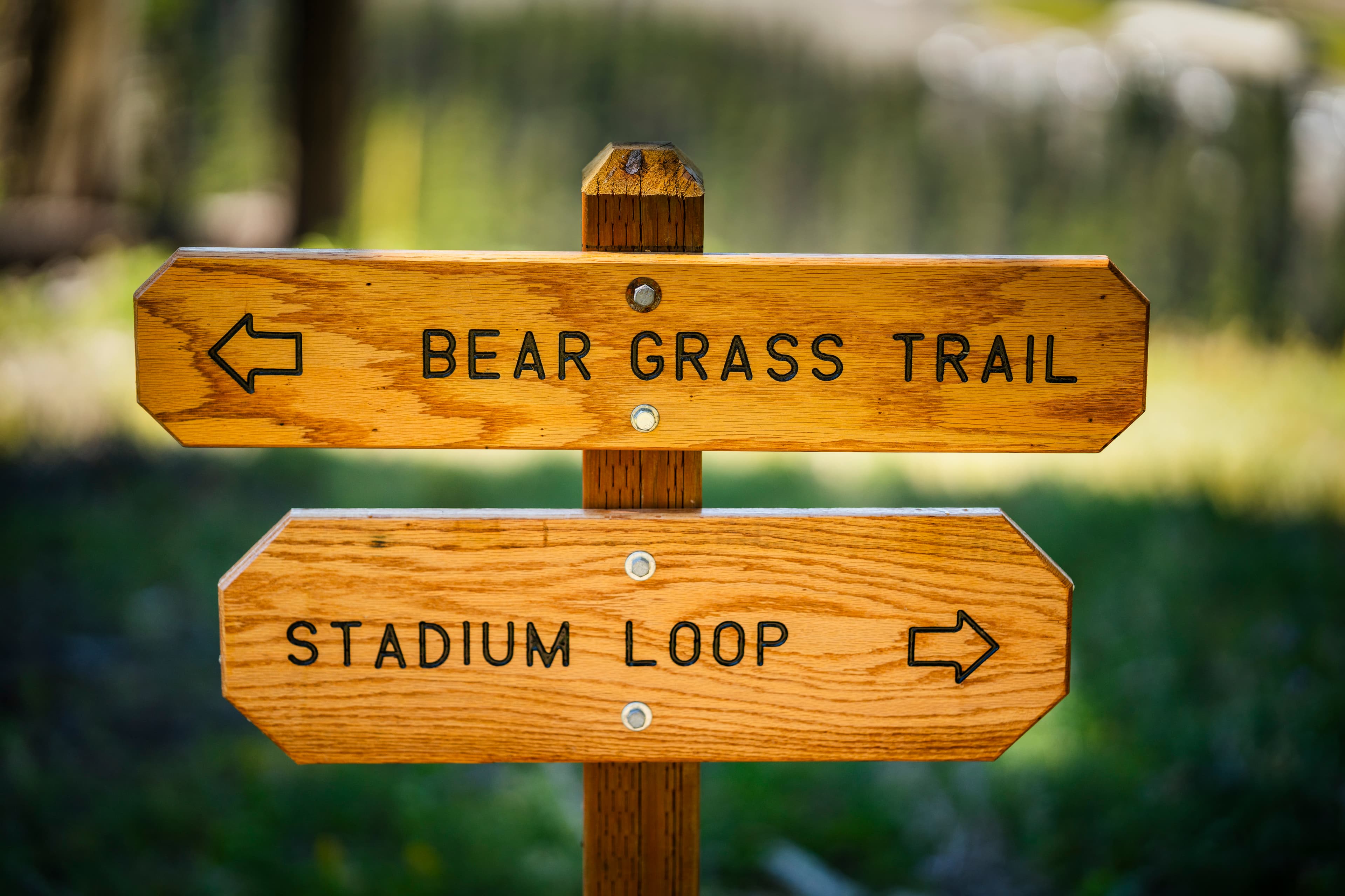 Community support and connection